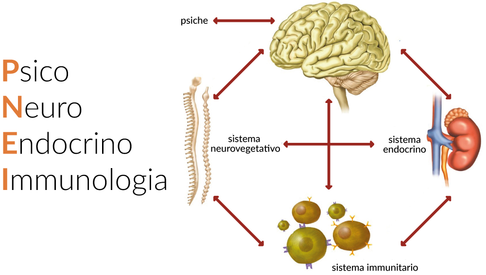 PNEI: Psico Neuro Endocrino Immunologia
